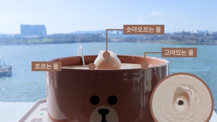 [무료배송] 코코시루 라인프렌즈 도자기 급수기 브라운 샐리 CL2WF 강아지 고양이 정수기 11번째
