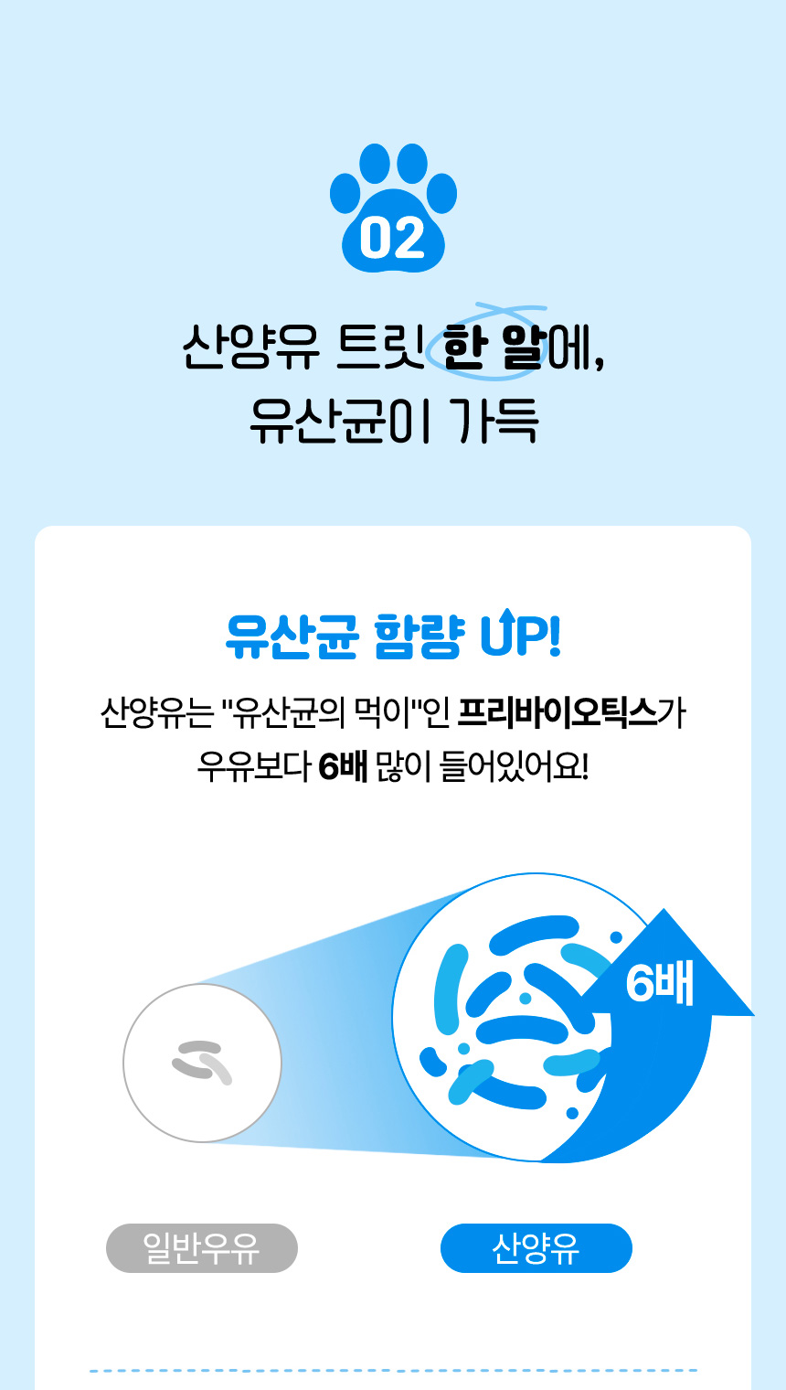 [NEW신상][무료배송] 펫프리카 독 산양유 유산균 간식 60g (플레인/딸기/블루베리) 11번째