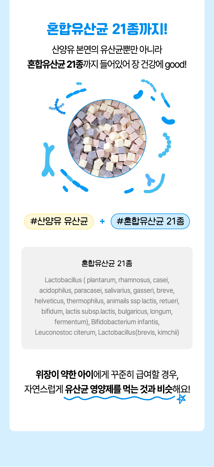 [NEW신상][무료배송] 펫프리카 독 산양유 유산균 간식 60g (플레인/딸기/블루베리) 12번째