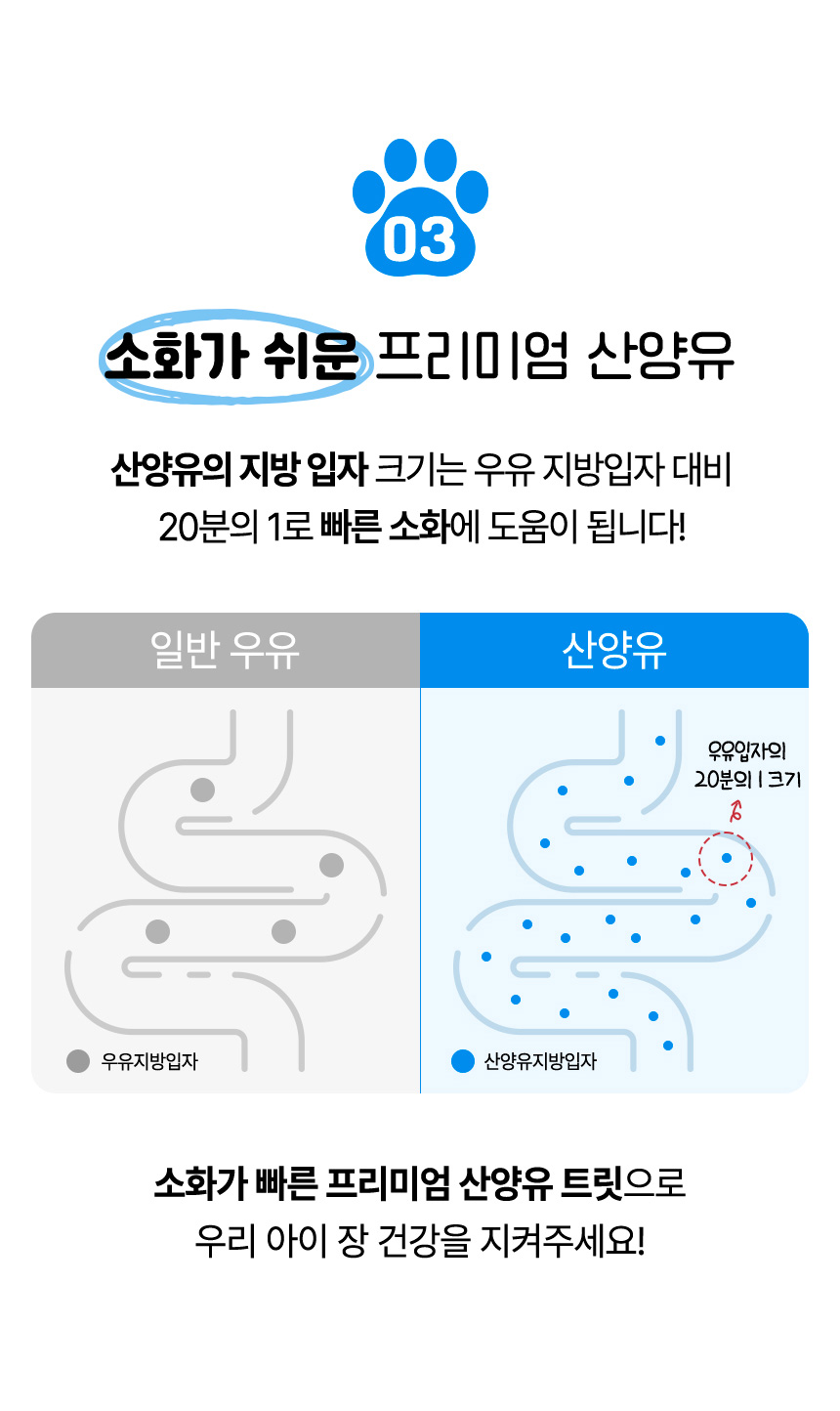 [NEW신상][무료배송] 펫프리카 독 산양유 유산균 간식 60g (플레인/딸기/블루베리) 13번째