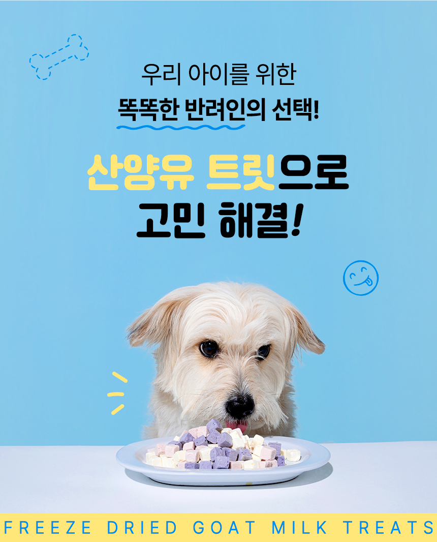 [NEW신상][무료배송] 펫프리카 독 산양유 유산균 간식 60g (플레인/딸기/블루베리) 8번째