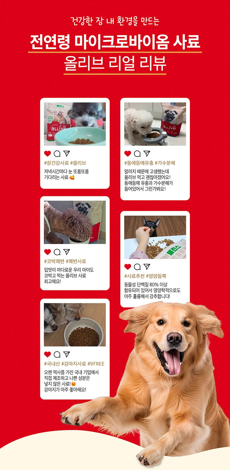 [사료샘플] 올리브 독 밸런스 30g 2번째