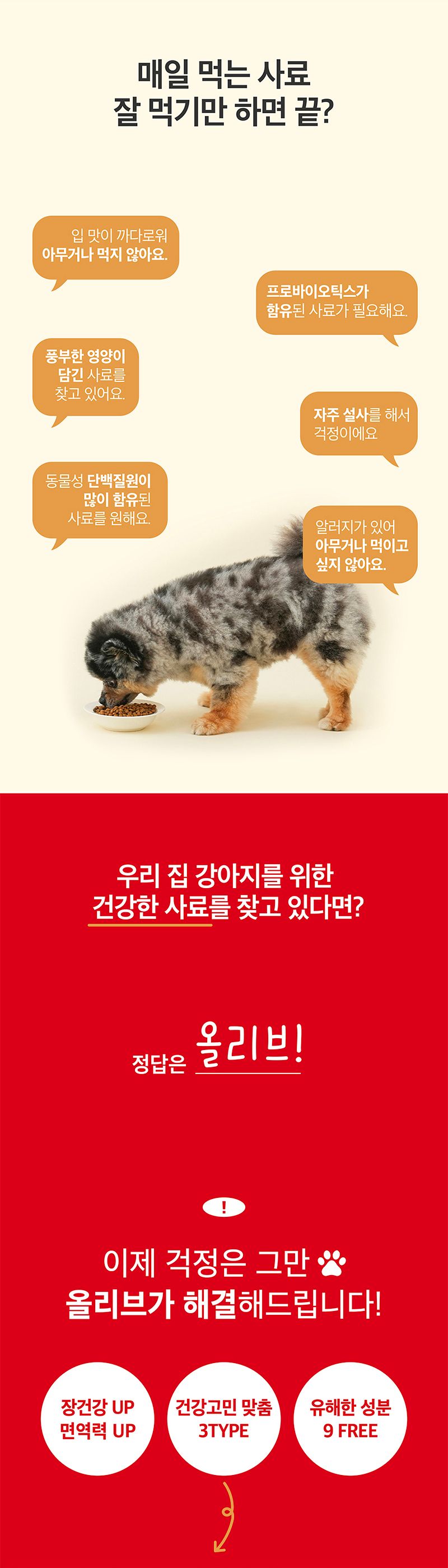 [사료샘플] 올리브 독 밸런스 30g 1번째