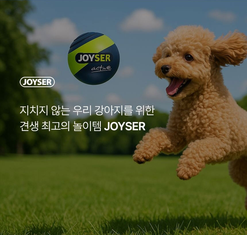 [가을특가][무료배송] 조이서 독 강아지 볼 7종 8번째