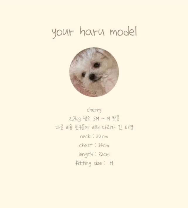 [무료배송] 유어하루 독 엔젤 리본 원피스 핑크 S-XL 25번째