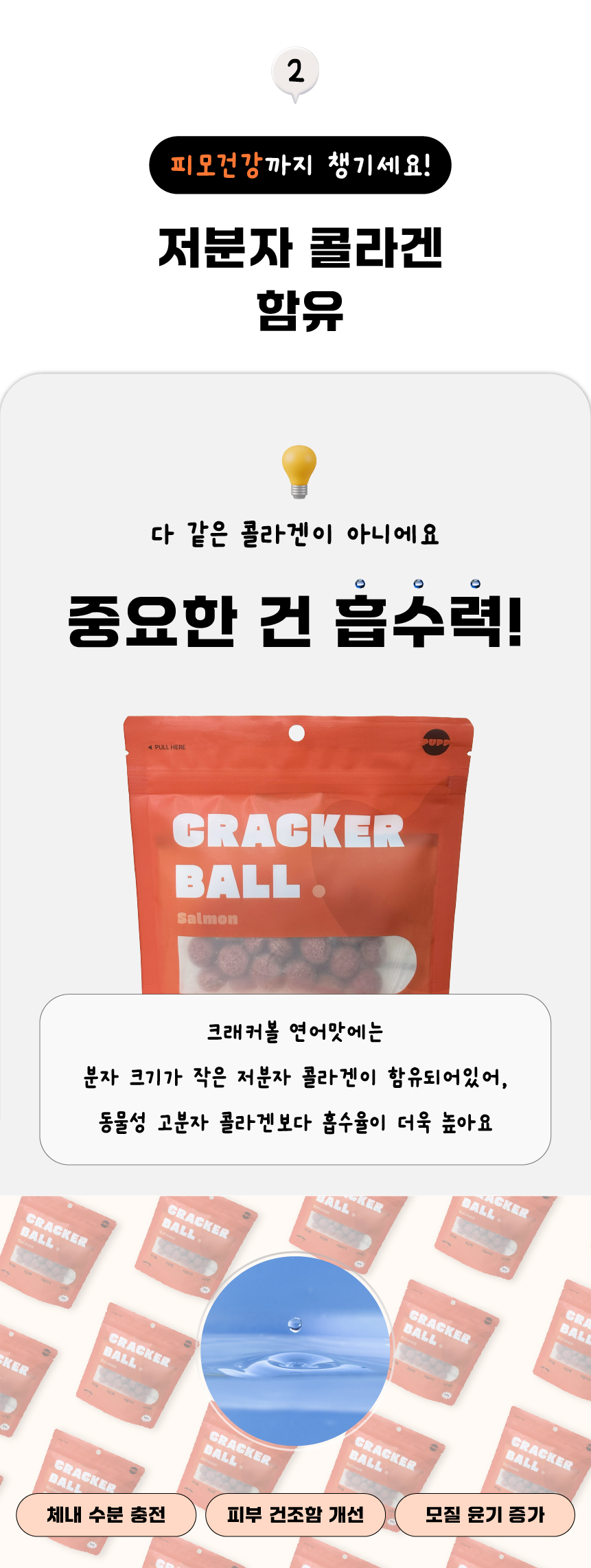퍼프 독 크래커볼 연어 100g 8번째