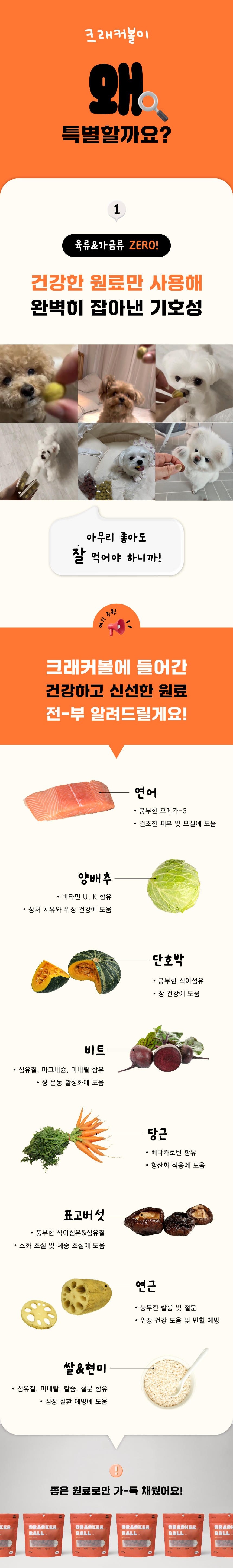 퍼프 독 크래커볼 연어 100g 6번째