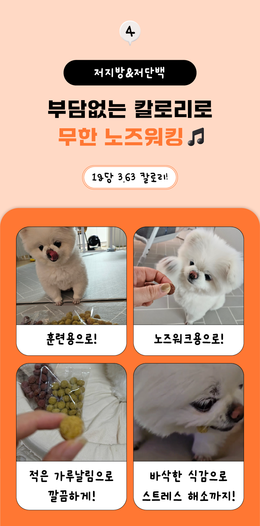 퍼프 독 크래커볼 연어 100g 9번째