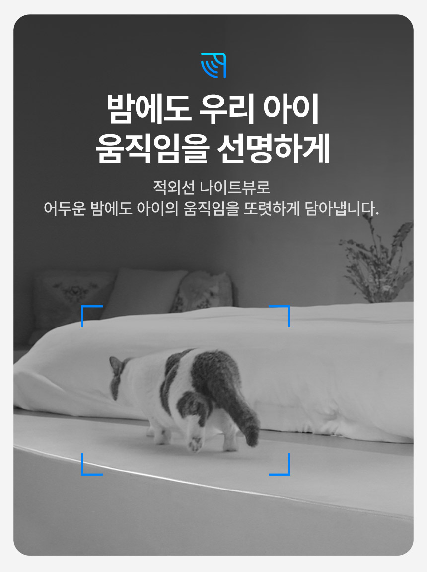 [NEW신상][무료배송] 펫킷 얌쉐어 솔로 자동 급식기 (스마트홈 카메라) 11번째