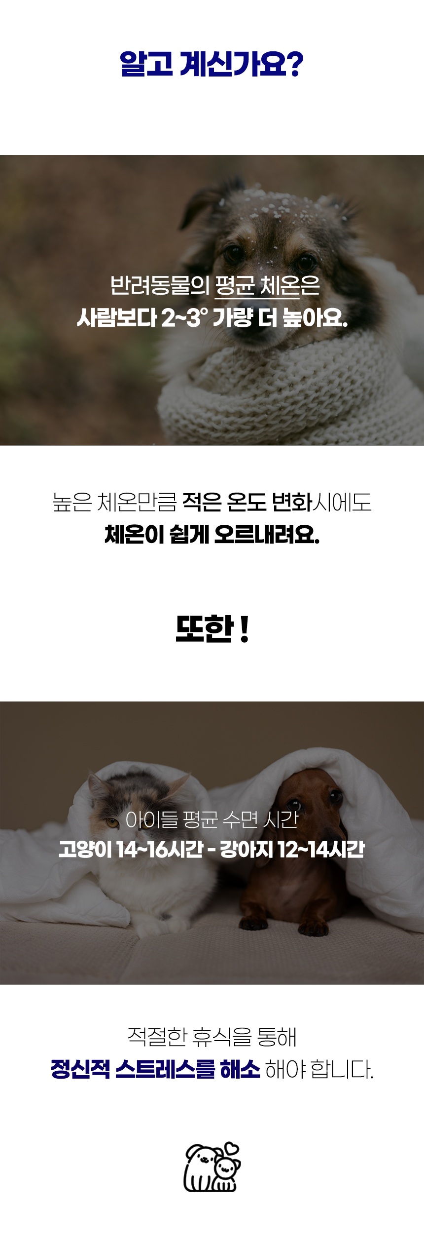 [NEW신상][무료배송] 개과천선 허그팟 방석 (네이비 블루/크림 블루) 2번째