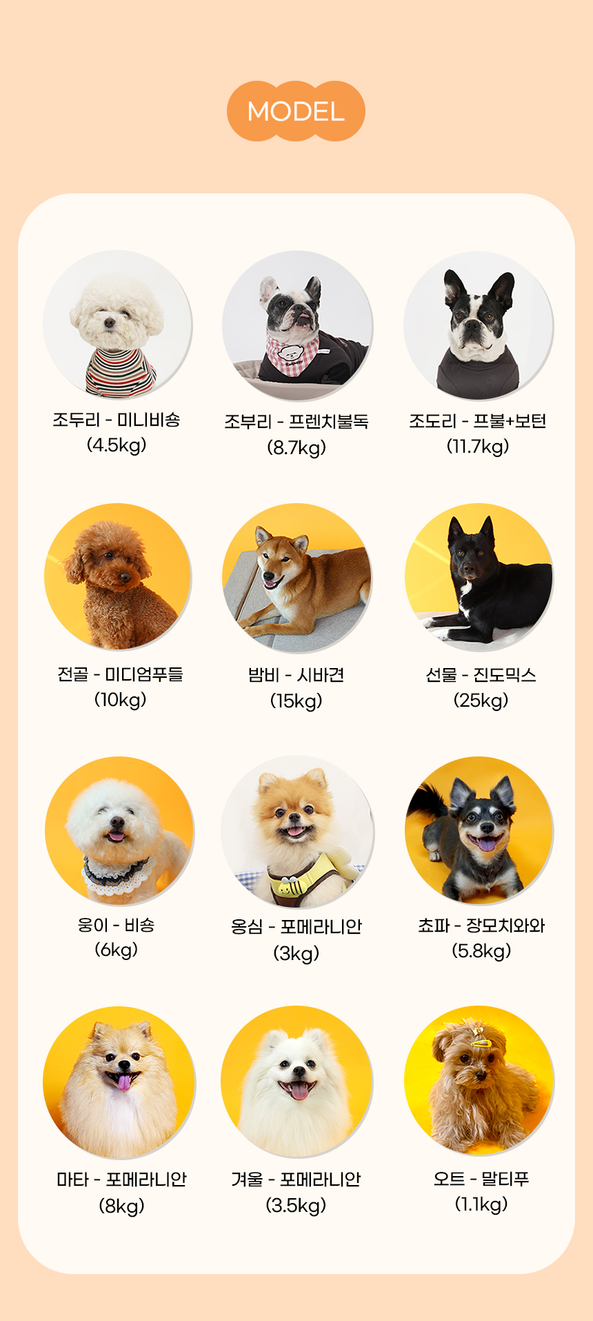 [NEW신상][무료배송] 개과천선 허그팟 방석 (네이비 블루/크림 블루) 25번째