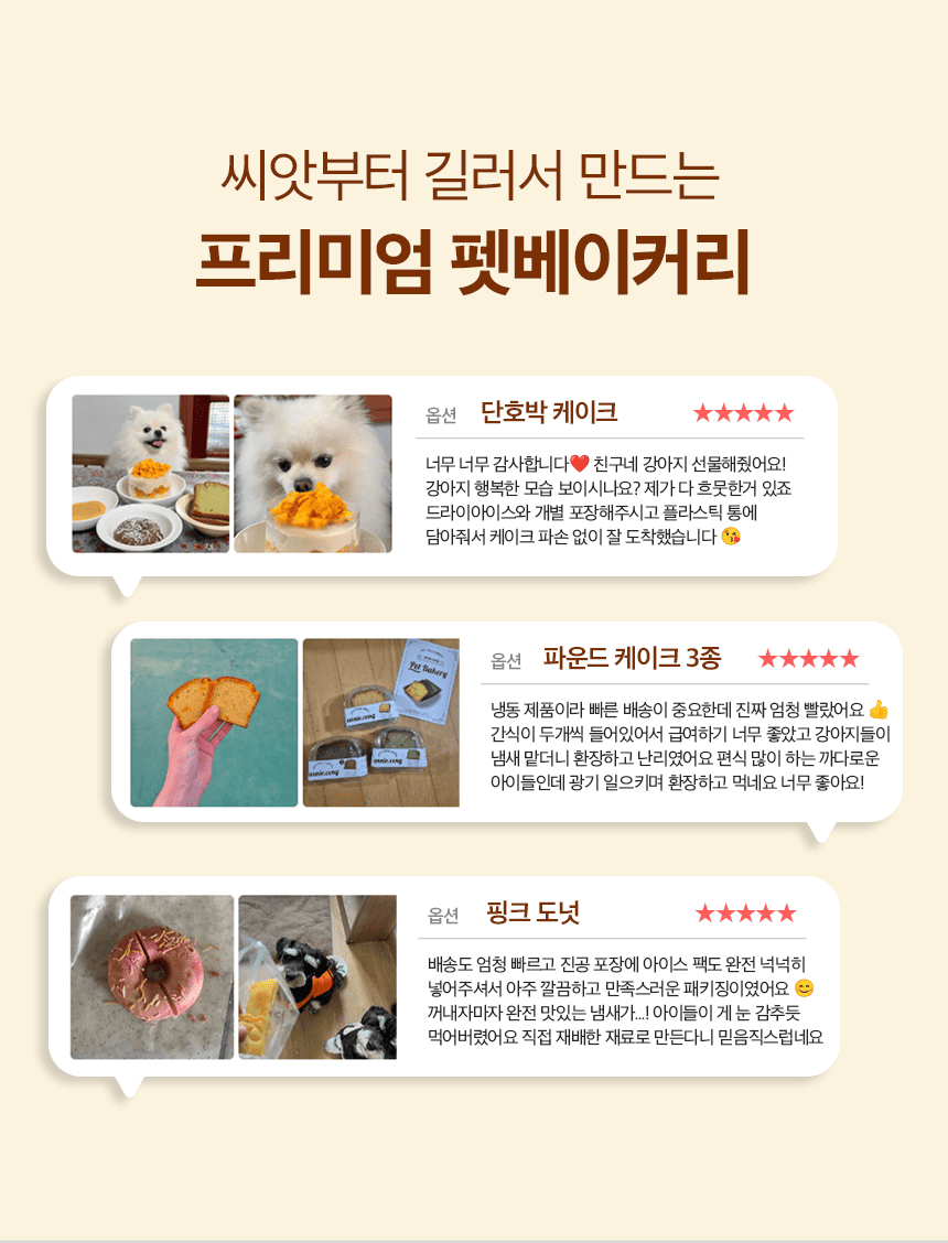 [NEW신상][무료배송] 애니콩 독 비건 펫피자 6번째
