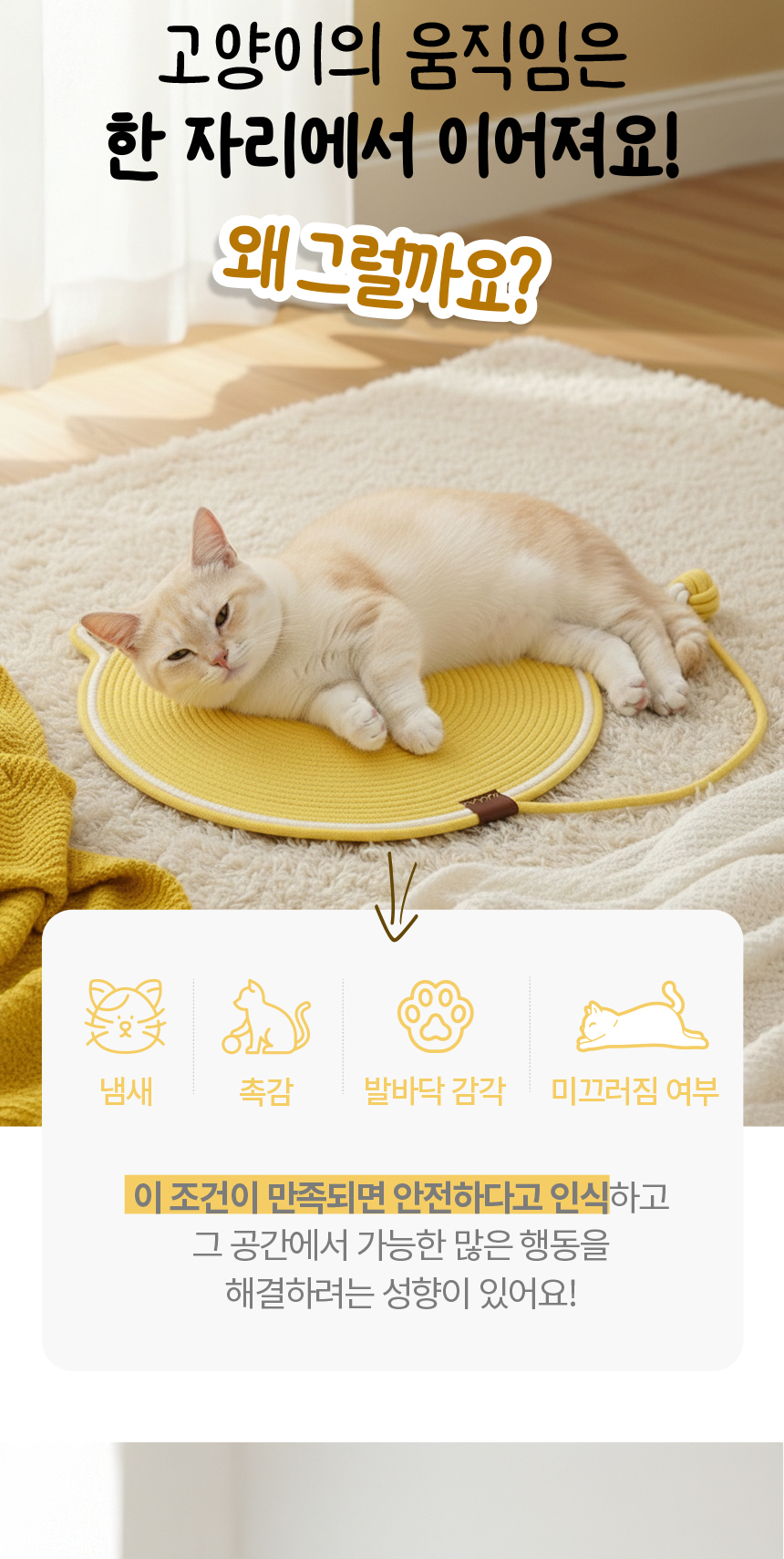 [NEW신상][무료배송] 애구애구 캣 스크래쳐 패드 방석 캣플로우 50cm (화이트/옐로우/핑크) 3번째