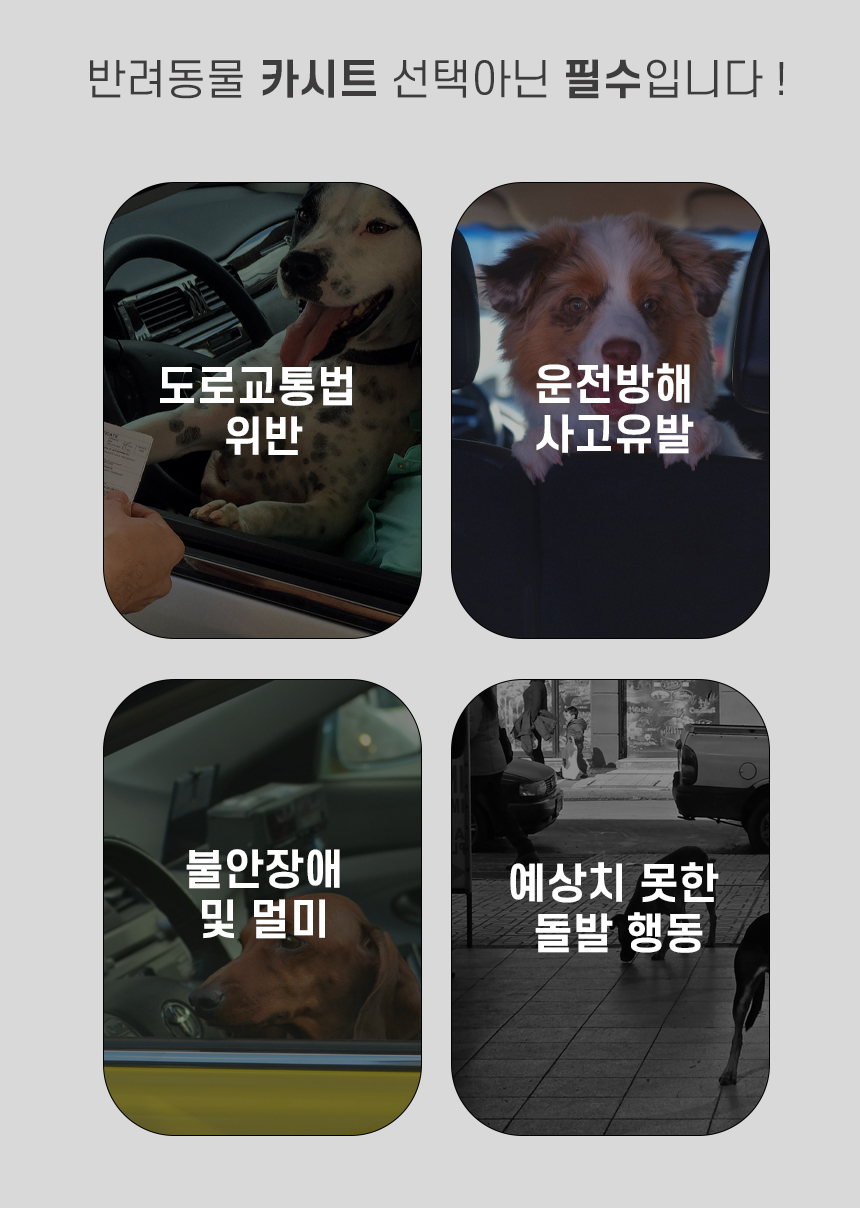 [무료배송] iLLO 컴피백 레드/브라운 2번째