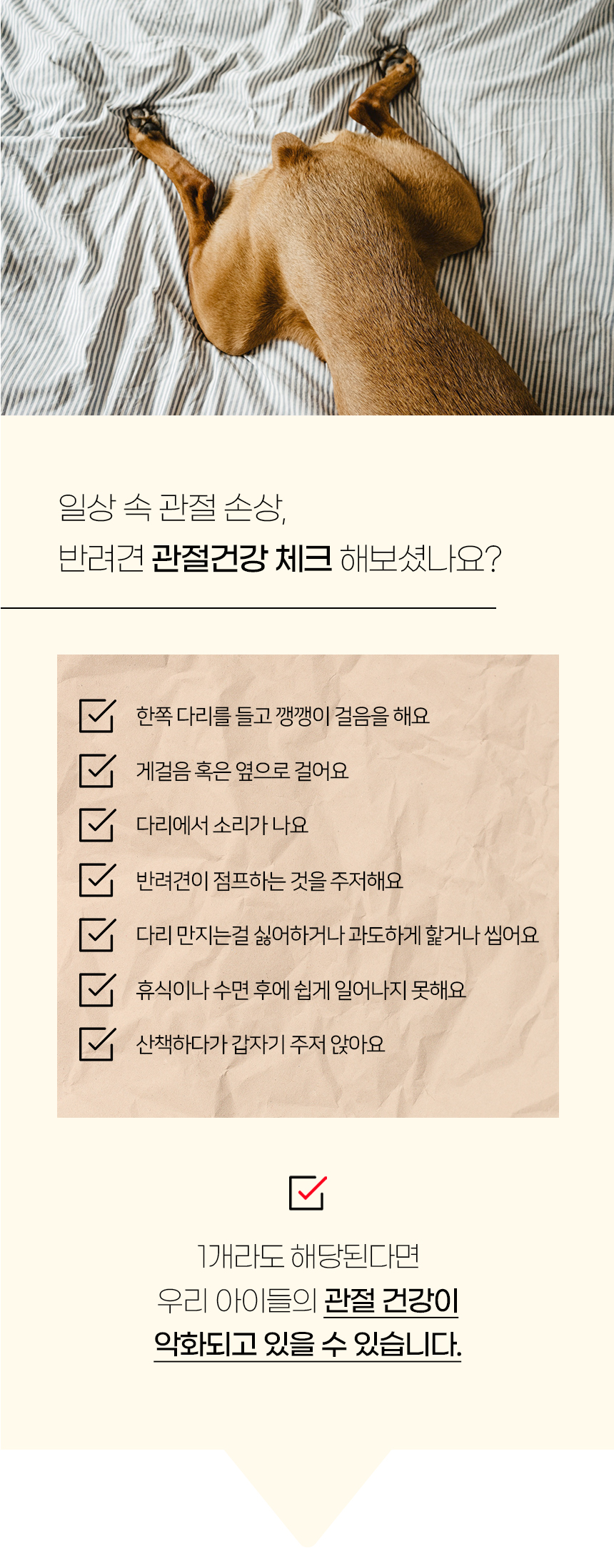 [NEW신상][무료배송] 개과천선 독 엘립 펫스텝 계단 (그레이/오트 베이지/다크 그레이/다크 베이지) 4번째