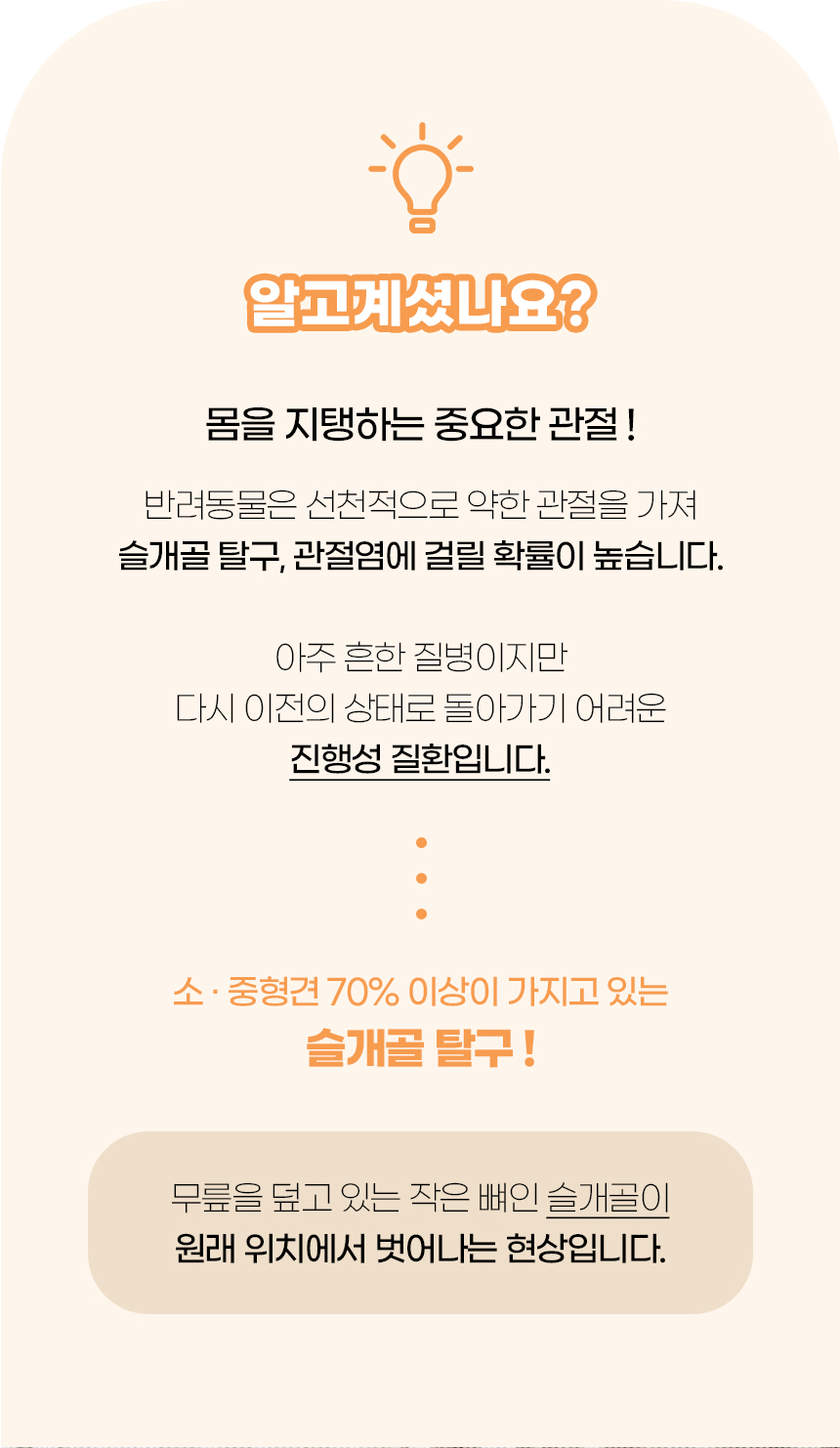 [NEW신상][무료배송] 개과천선 독 엘립 펫스텝 계단 (그레이/오트 베이지/다크 그레이/다크 베이지) 3번째
