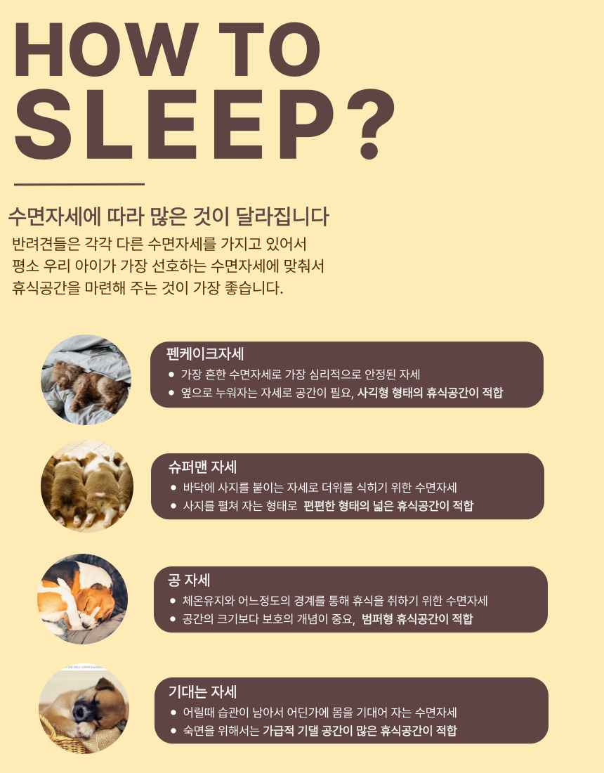 [NEW신상][무료배송] 스윗테일 독 핸드메이드 팔각베드쿠션 M/L 30번째