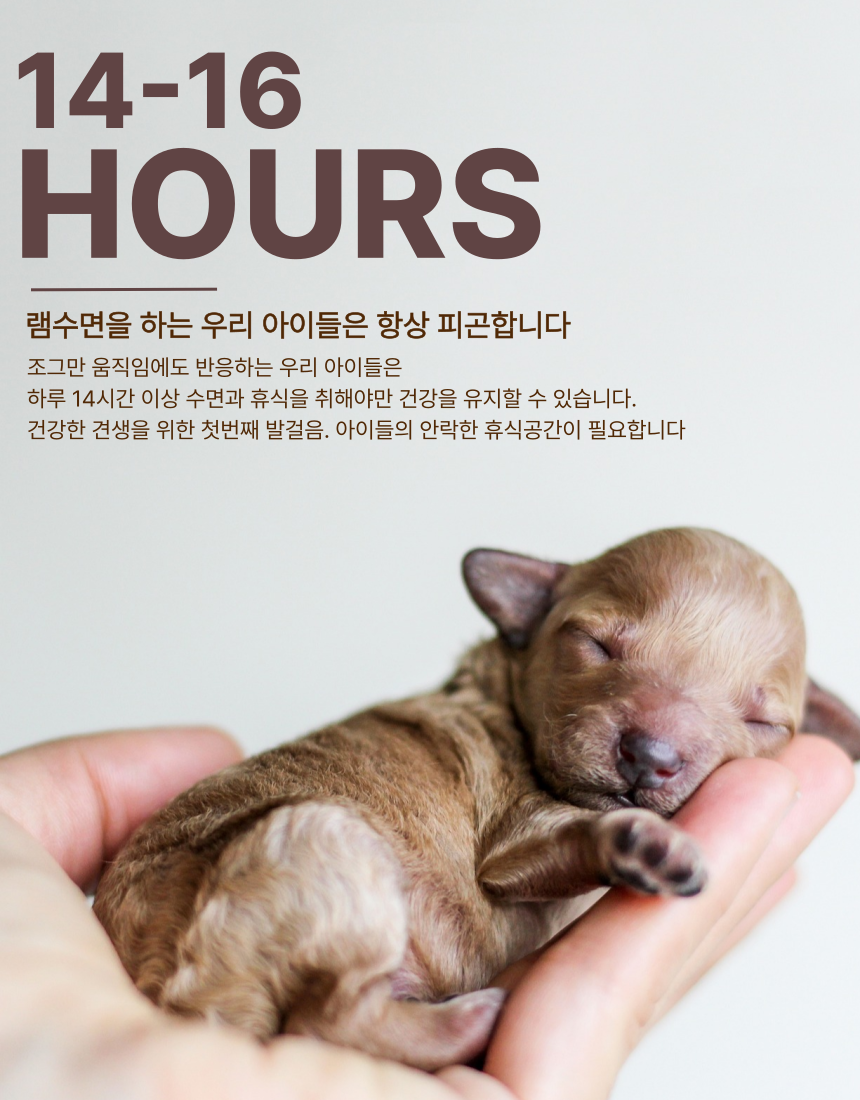 [NEW신상][무료배송] 스윗테일 독 핸드메이드 팔각베드쿠션 M/L 6번째
