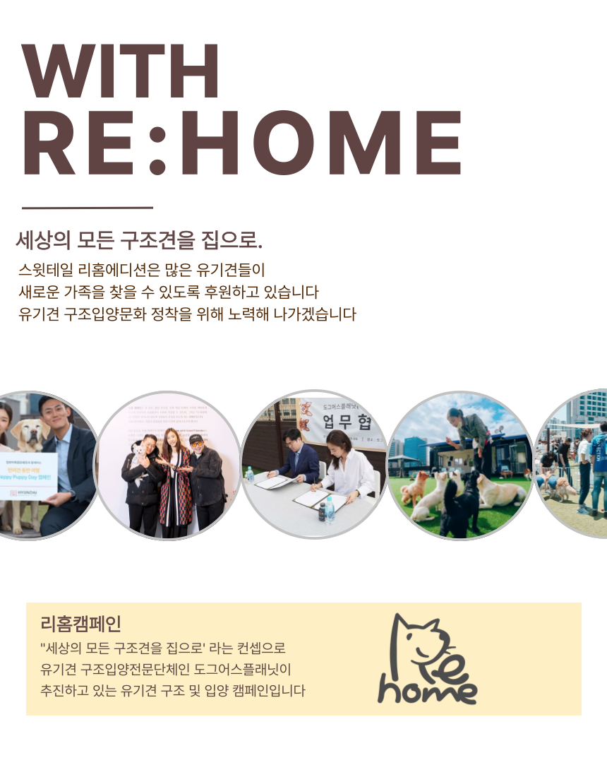 [럭키세일][무료배송] 스윗테일 독 핸드메이드 원형베드쿠션 M/L 25번째