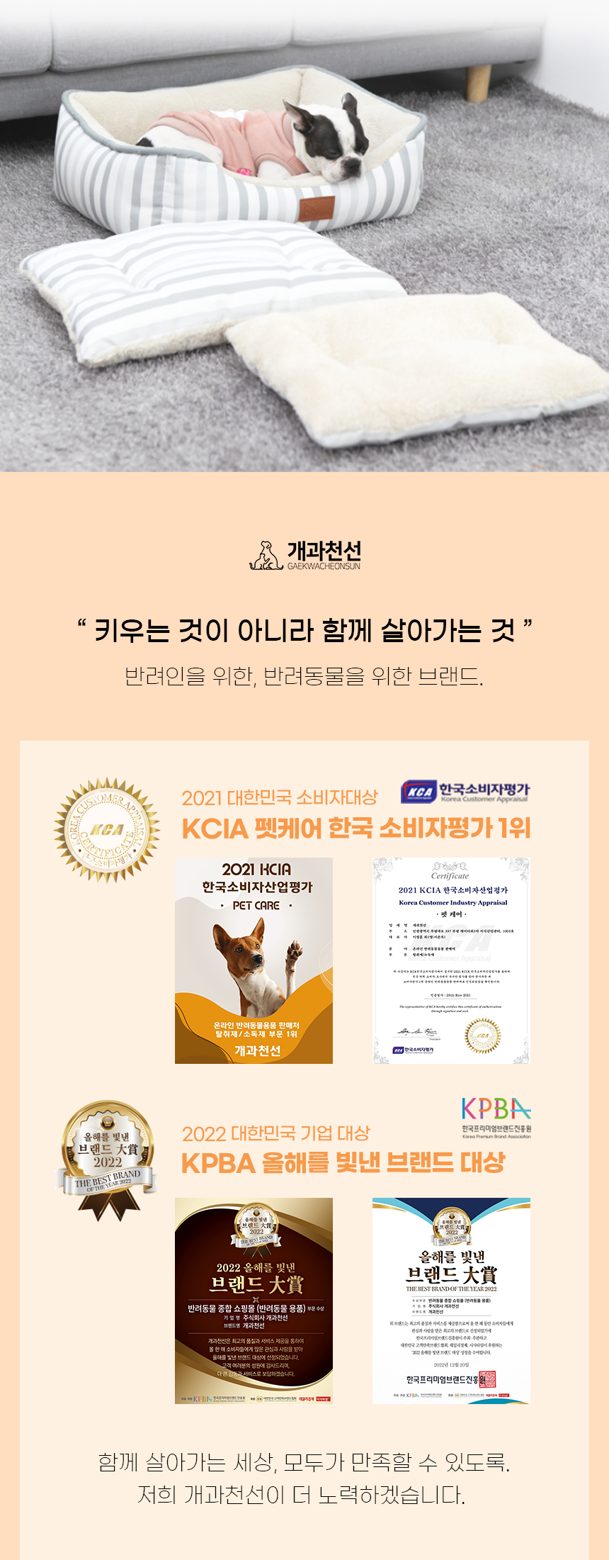 [NEW신상][무료배송] 개과천선 엔스피 방석 (중형/대형/특대형) 3번째