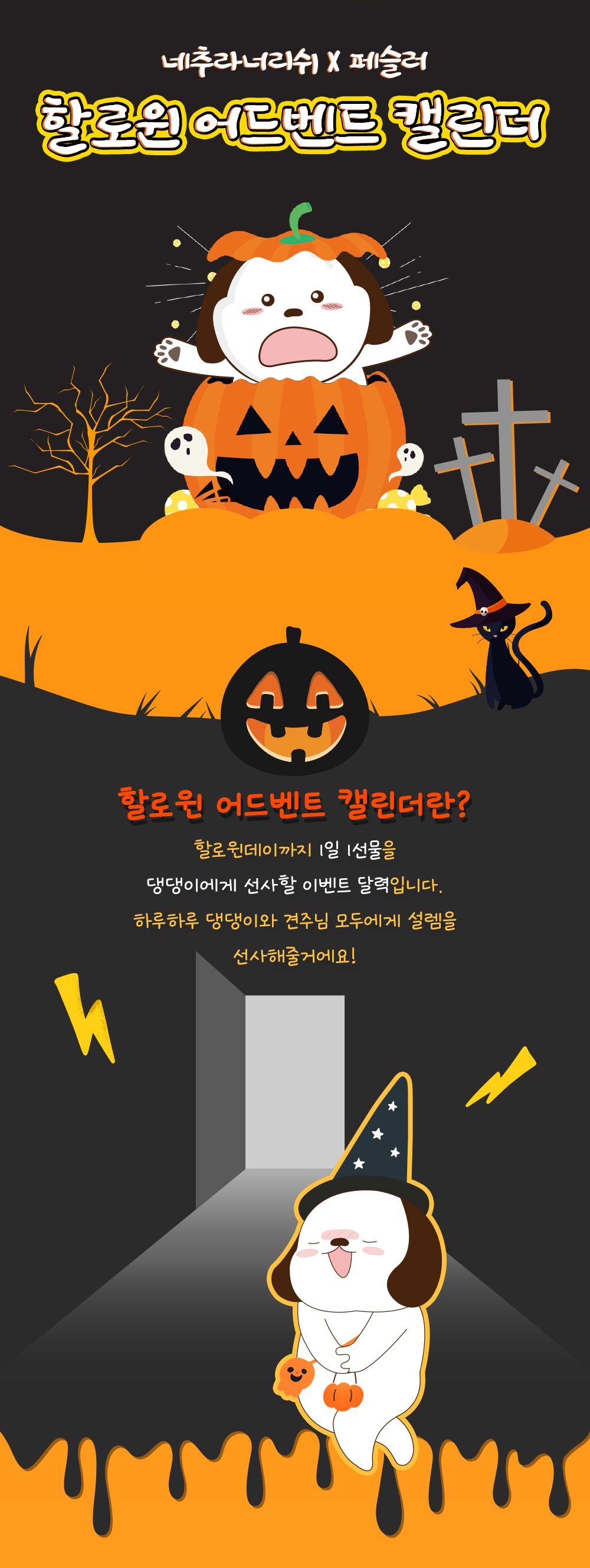 네추라너리쉬 독 할로윈 어드벤트 캘린더 (할로윈 쿠키&껌&장난감) 2번째