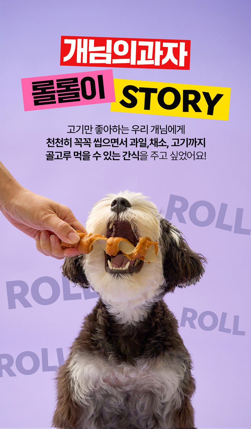 [NEW신상] [무료배송] 개님의상점 개님의과자 롤롤이(치킨롤) 육포+채소껌+리얼코코넛 콤보간식 140g 3번째