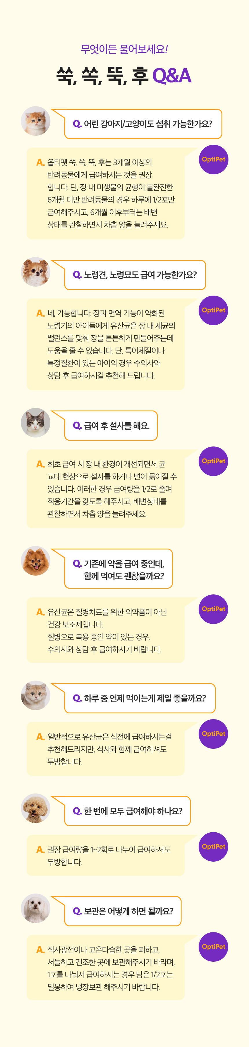 [무료배송] 옵티펫 유산균 눈물 뚝 DDUK 30개입 18번째