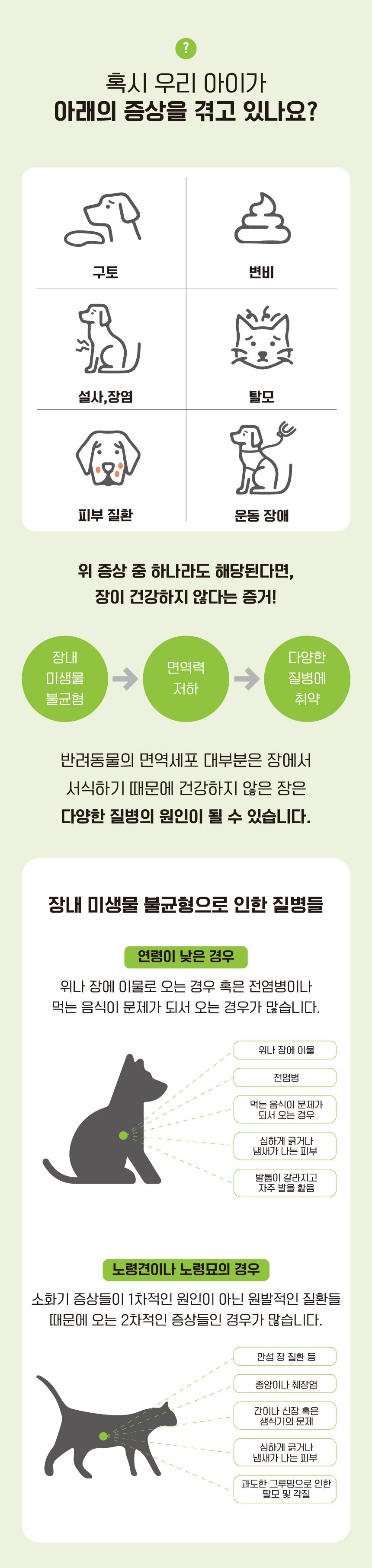 [창고대방출] 펫아이 하이츄 유산균 치킨맛 5p 8번째