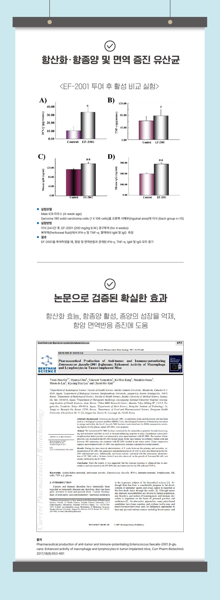 [창고대방출] 펫아이 하이츄 유산균 치킨맛 5p 15번째