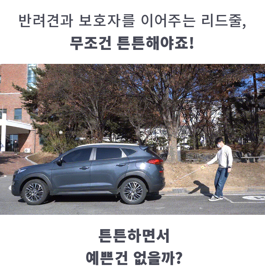 [무료배송] 펫베오 독 도넛 자동리드줄 3M 핑크/카키/화이트/소라 4번째