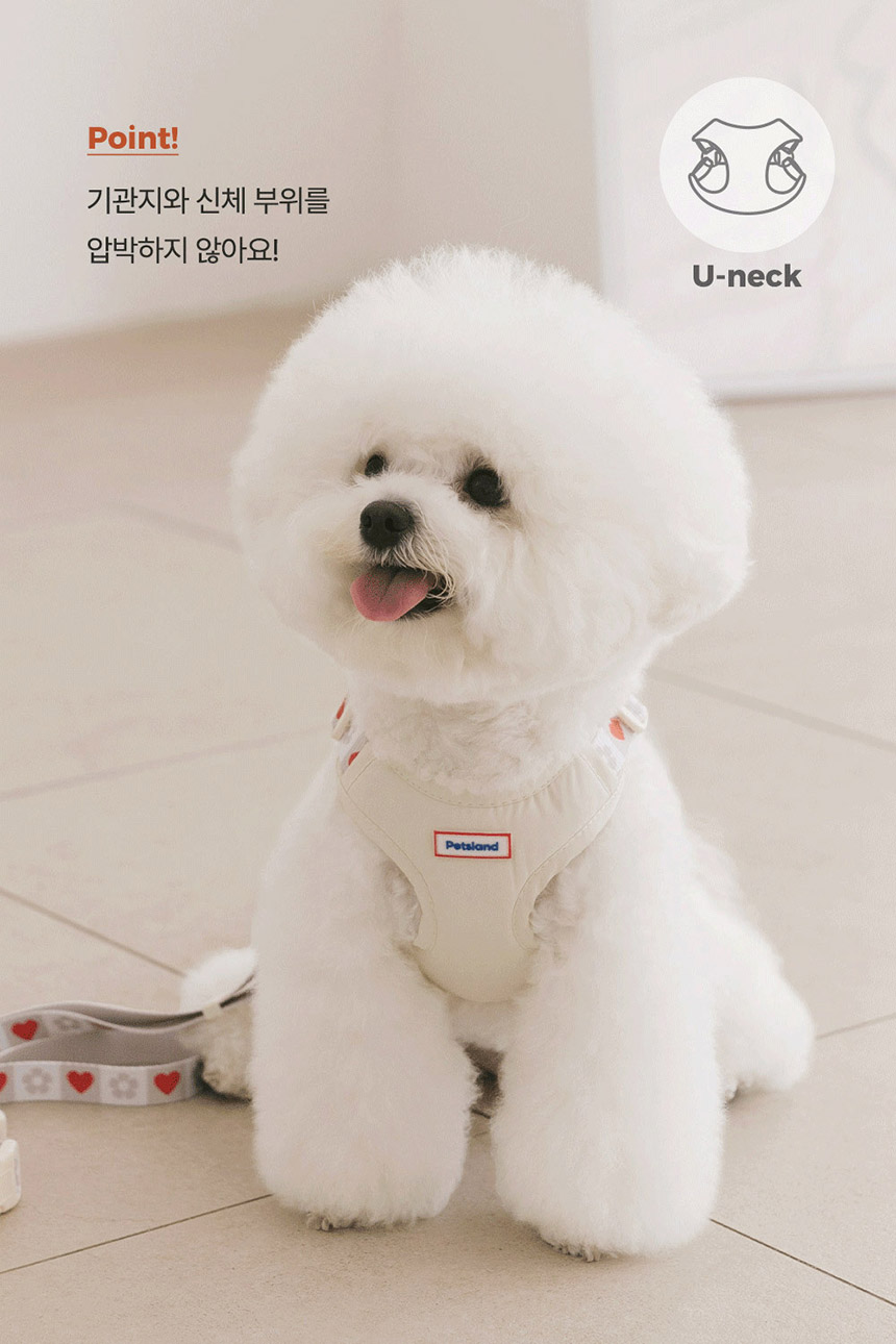 [NEW신상][무료배송] 펫츠랜드 하트팝하네스 탠저린오렌지 S-L 7번째