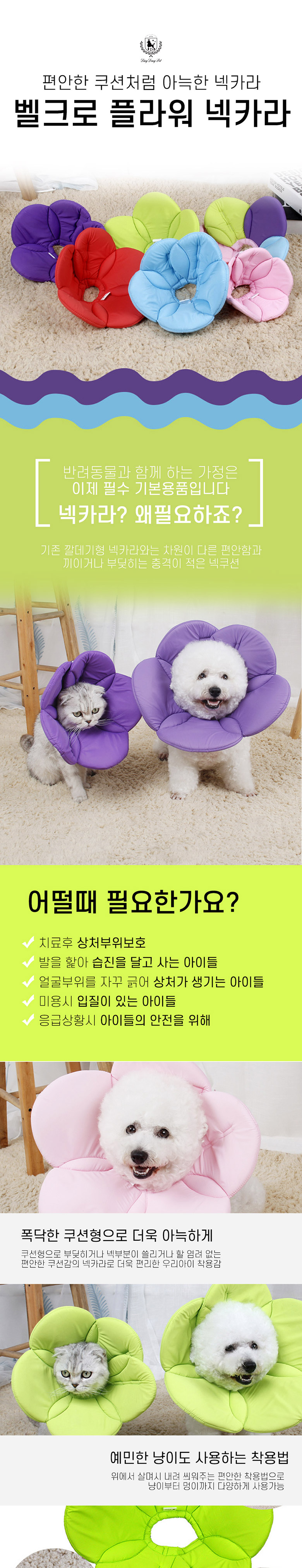 [무료배송] 딩동펫 반려동물 벨크로 플라워 넥카라 S-XL 1번째