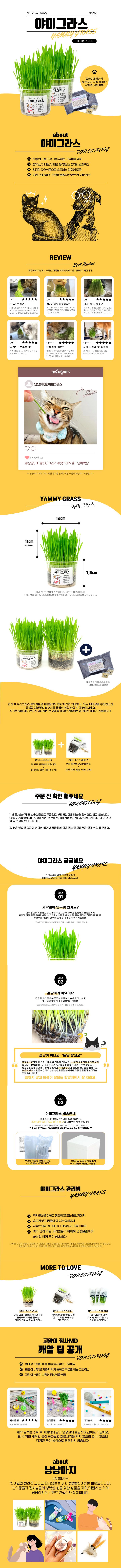 [무료배송] 냥냥아지 야미그라스 세트 1번째