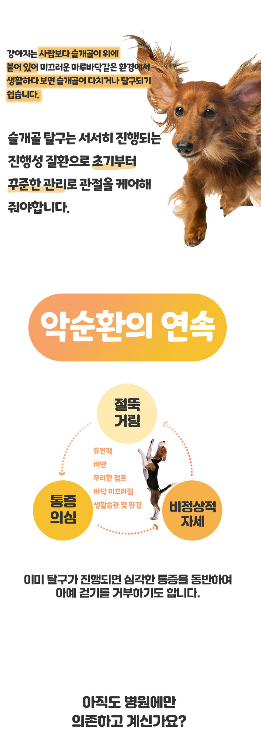 [무료배송] 댕이수랏간 침향 관절쌩쌩 70g 7번째
