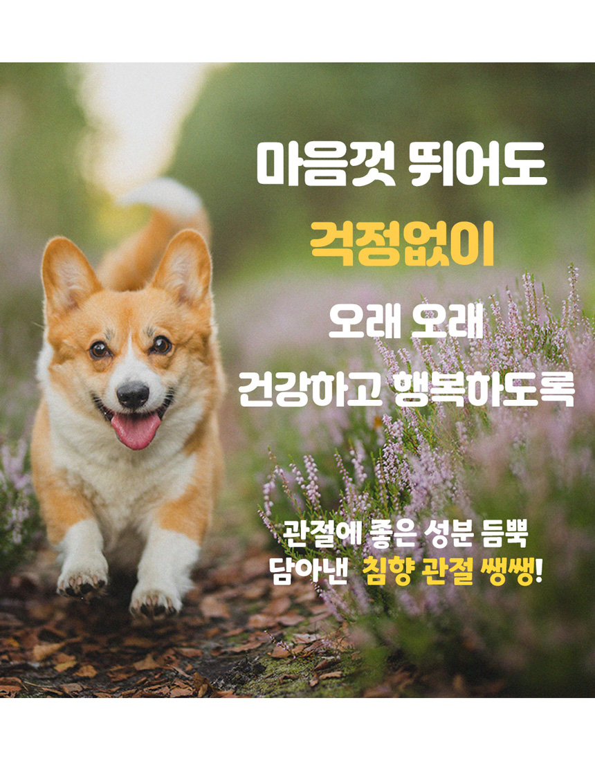 [무료배송] 댕이수랏간 침향 관절쌩쌩 70g 9번째
