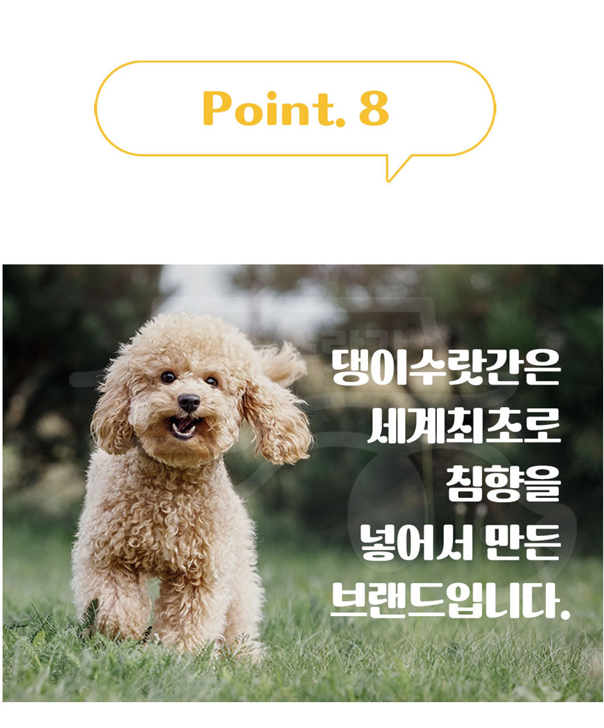 [무료배송] 댕이수랏간 침향 관절쌩쌩 70g 18번째