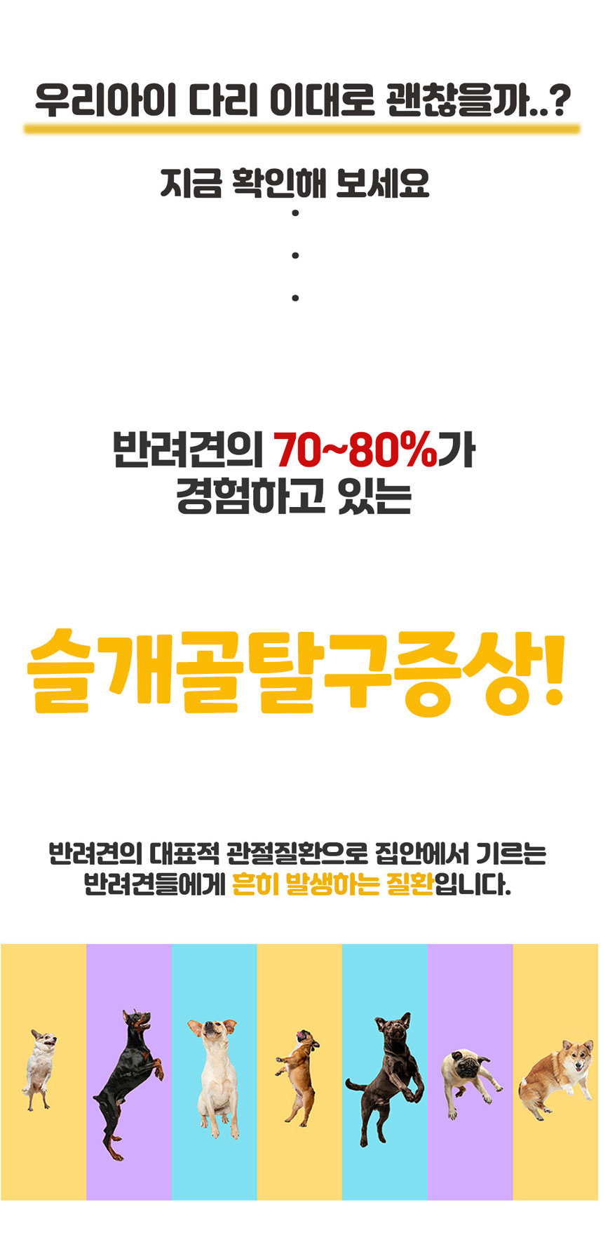 [무료배송] 댕이수랏간 침향 관절쌩쌩 70g 6번째