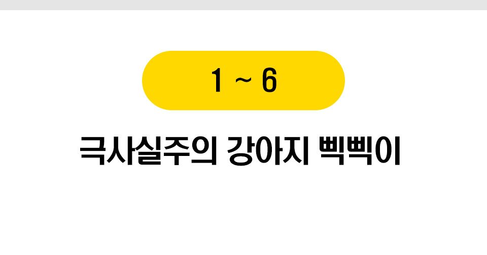  펫홀릭 강아지 장난감 10종 [모음] 2번째