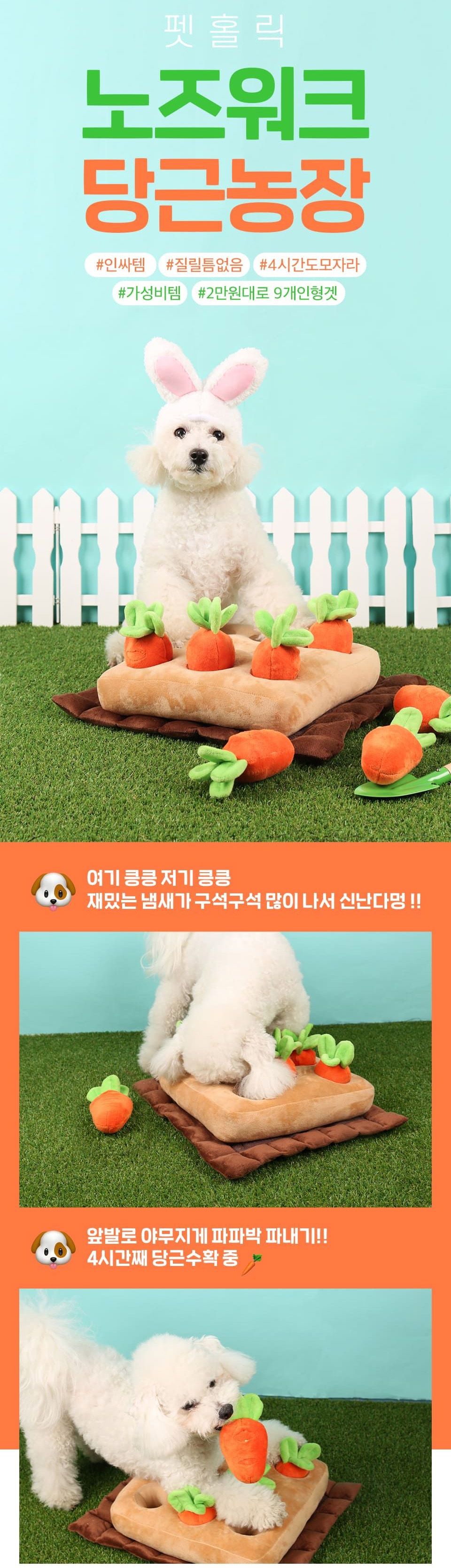  펫홀릭 강아지 장난감 10종 [모음] 8번째