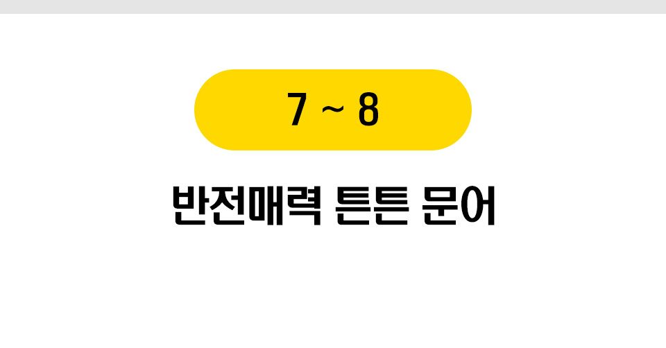  펫홀릭 강아지 장난감 10종 [모음] 4번째