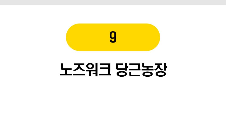  펫홀릭 강아지 장난감 10종 [모음] 7번째