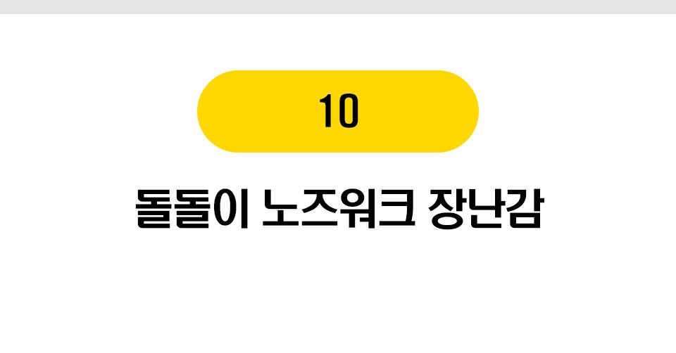 펫홀릭 강아지 장난감 10종 [모음] 10번째