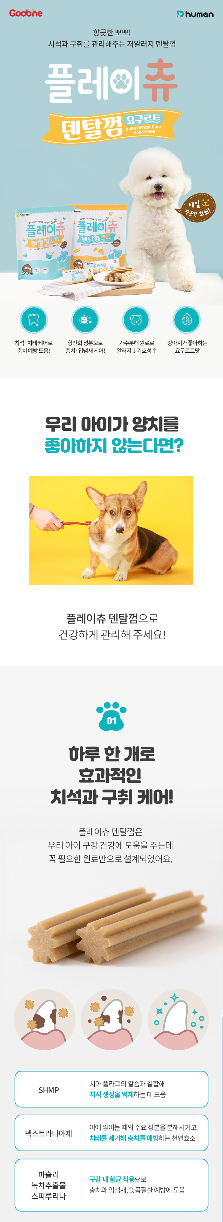 [무료배송] 듀먼 독 플레이츄 덴탈껌 요구르트맛 100g 1번째