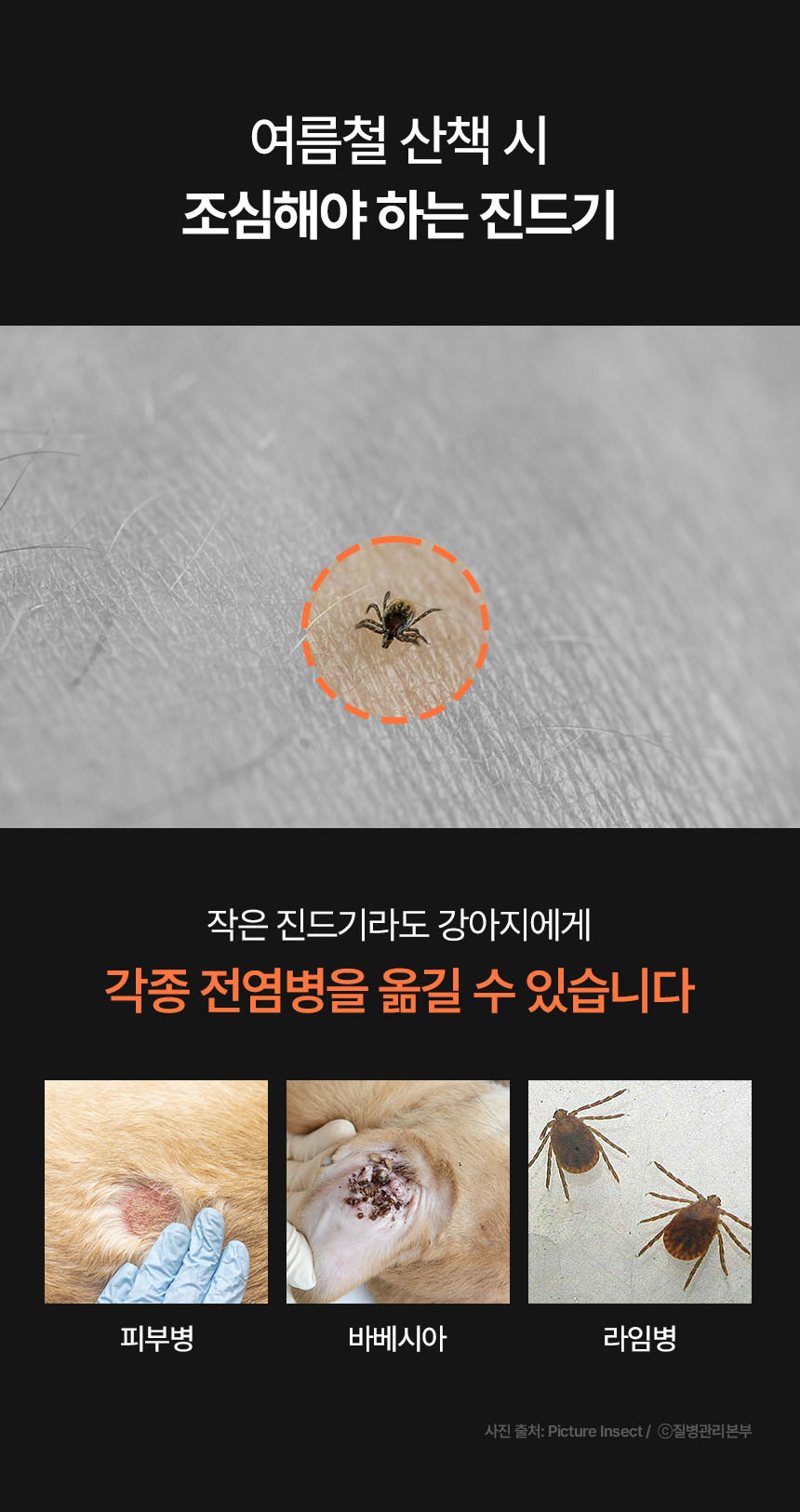 [무료배송] 리스펫 해충방지 산책키퍼 스티커패치 60매 1번째