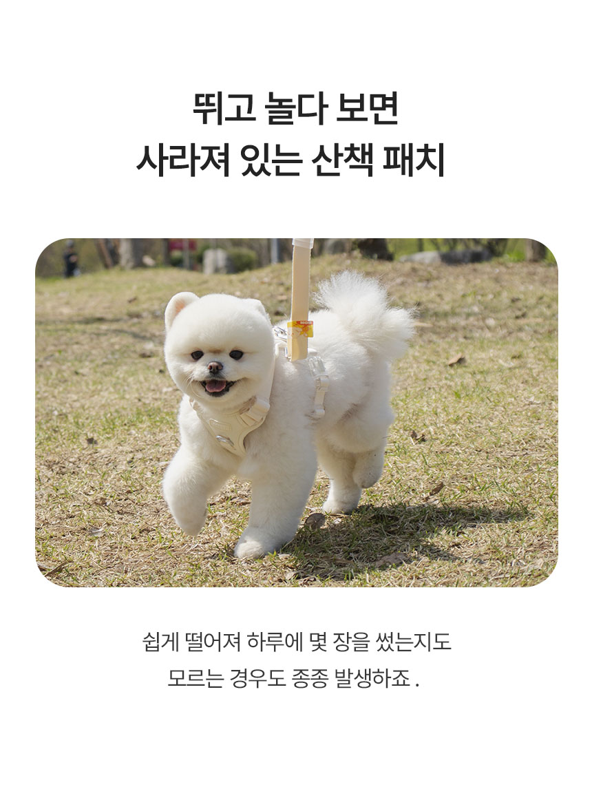 [무료배송] 리스펫 해충방지 산책키퍼 스티커패치 60매 12번째