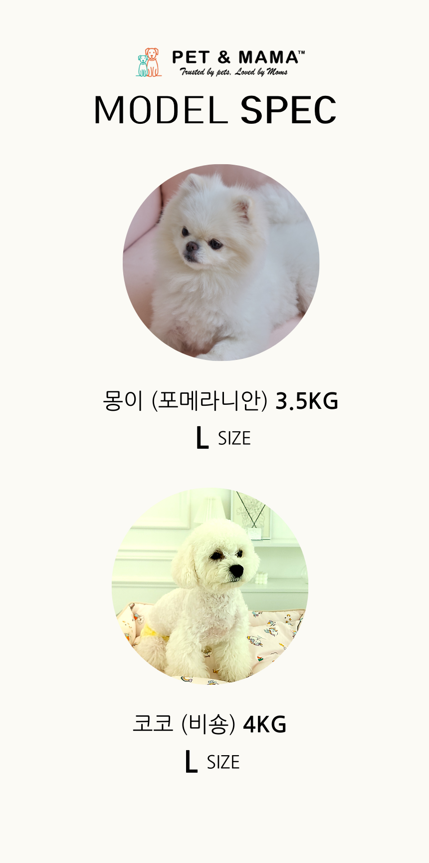 [무료배송] 펫앤마마 양면 애착방석 카툰 방석 3종 (그린/그레이/베이지) M~XL 23번째
