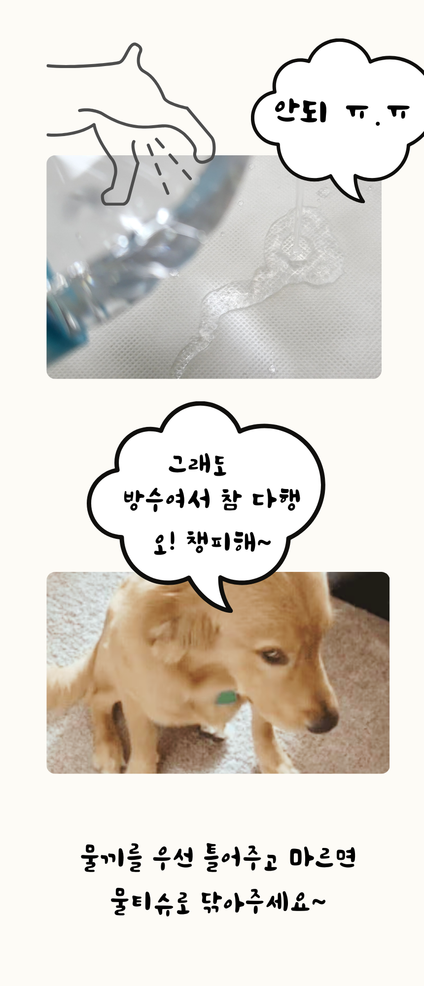 [무료배송] 펫앤마마 양면 애착방석 카툰 방석 3종 (그린/그레이/베이지) M~XL 14번째