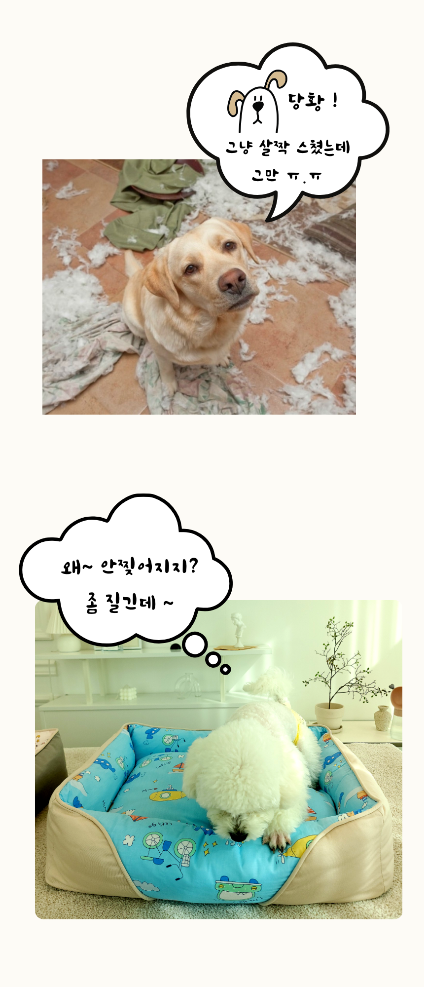 [무료배송] 펫앤마마 양면 애착방석 카툰 방석 3종 (그린/그레이/베이지) M~XL 8번째