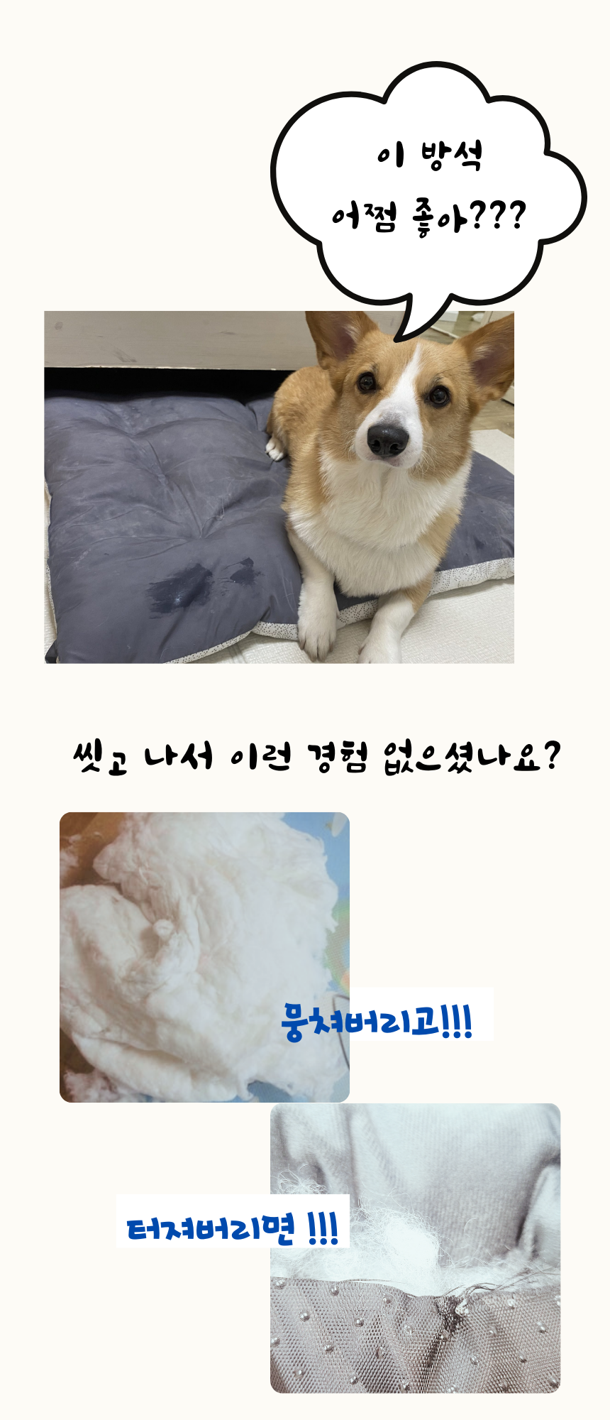 [무료배송] 펫앤마마 양면 애착방석 카툰 방석 3종 (그린/그레이/베이지) M~XL 12번째