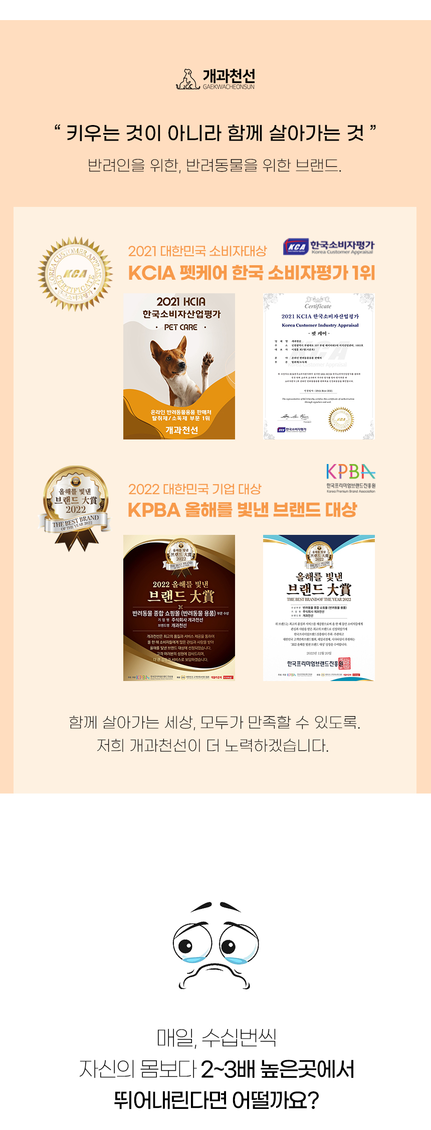 [NEW신상][무료배송] 개과천선 독 Z웨입 펫스텝 계단 (아이보리/그레이) 2번째